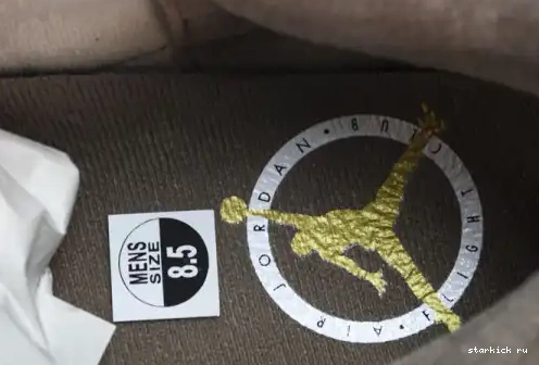 Palomino  CT8532-102  Retro Jordan 3 CT8532-102 0611
